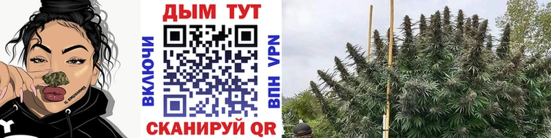 darknet телеграм  Усинск  Бошки Шишки планчик 